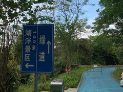 -黄埔油麻山森林公园