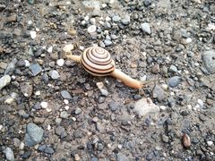 -龙坑生态保护区