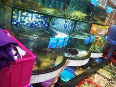 -揭阳钟记小食(福田新村店)