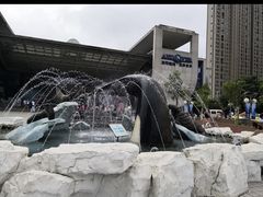 -合肥海洋世界