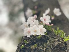 -阳澄湖费尔蒙酒店