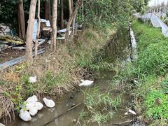-前小桔亲子创意农场·草莓采摘·露营烧烤