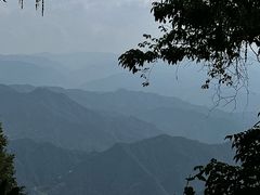 -王顺山国家森林公园