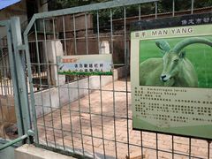 -保定市动物园