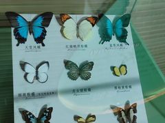 -蝴蝶泉公园