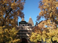 -北京石刻艺术博物馆(五塔寺)