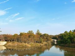 -八大山人梅湖景区