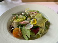 -蝶舍·MAISON PAPILLON