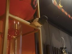 -茶去咖啡屋(武侯祠店)