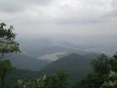 -清溪森林公园