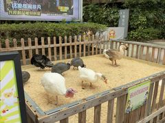-广州长隆国际大马戏
