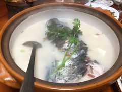 -全乐鱼馆·淳牌有机鱼直营店