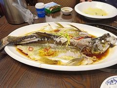 青蒸翘嘴鱼-醉美东江·三文鱼