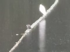 -重庆彩云湖湿地公园
