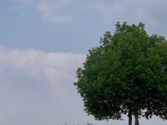 -白鹭湾湿地公园