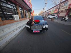 -禧·婚纱礼服馆