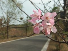 -同里国家湿地公园