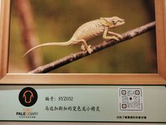 -北京华联购物中心(同成街店)
