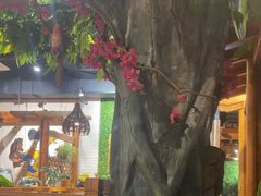 -草原塞蛮羊火锅城(港湾店)