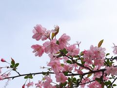 -白塘生态植物园