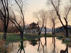-渤公岛生态公园