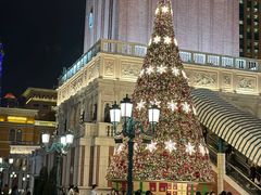 -澳门威尼斯人综合度假区