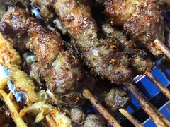 -民族烤羊·烤羊肉串·烤羊排(南城店)