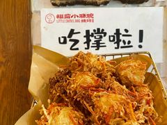 -福苗小骆驼烧烤(莲湖路店)