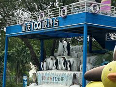 -重庆欢乐海底世界