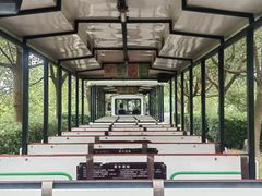 -泗洪洪泽湖湿地景区