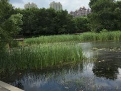 -群力丁香公园