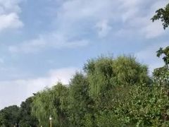 -兰山公园