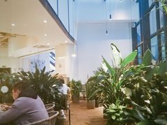 -大树餐厅(红旗街万达店)