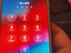 -大召山西祁县剔鱼子削面(向阳店)