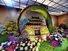 -杭州植物园