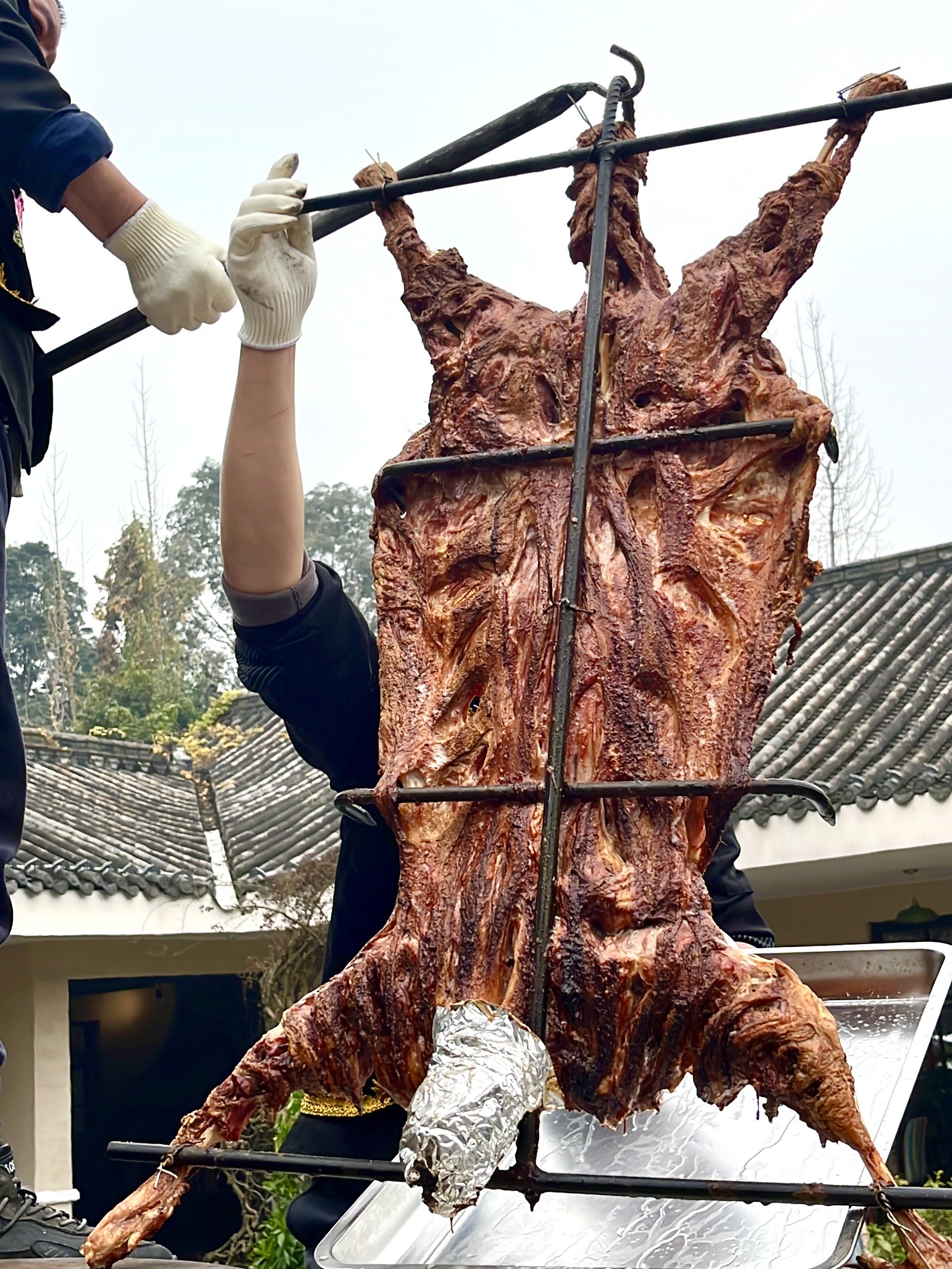 喂羊羔奶的架子图片图片