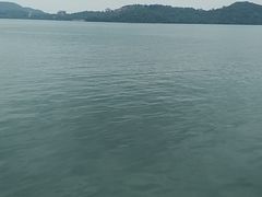 -日月潭