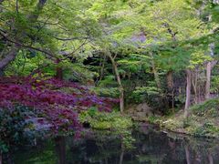 -鹤冈八幡宫