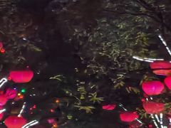 -大雁塔北广场音乐喷泉