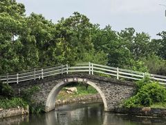 -鹅湖玫瑰文化园