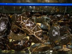 -Isla Sugbu Seafood City