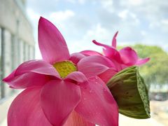 -火福·天湖阁大闸蟹博物馆主题餐厅(浅水湾店)