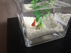 -扬州东关街文昌阁桔子水晶酒店