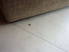 -惠州金海湾嘉华度假酒店