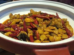 -印象鲵宴·张家界地标美食名片(溪布街店)