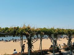 -碧海金沙