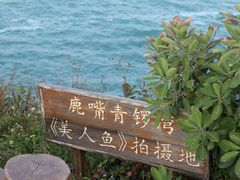 -杨梅坑