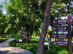 -阳台山自然风景区