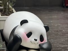 -轩客会(熊猫书店)