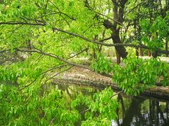 -共青国家森林公园-南大门停车场